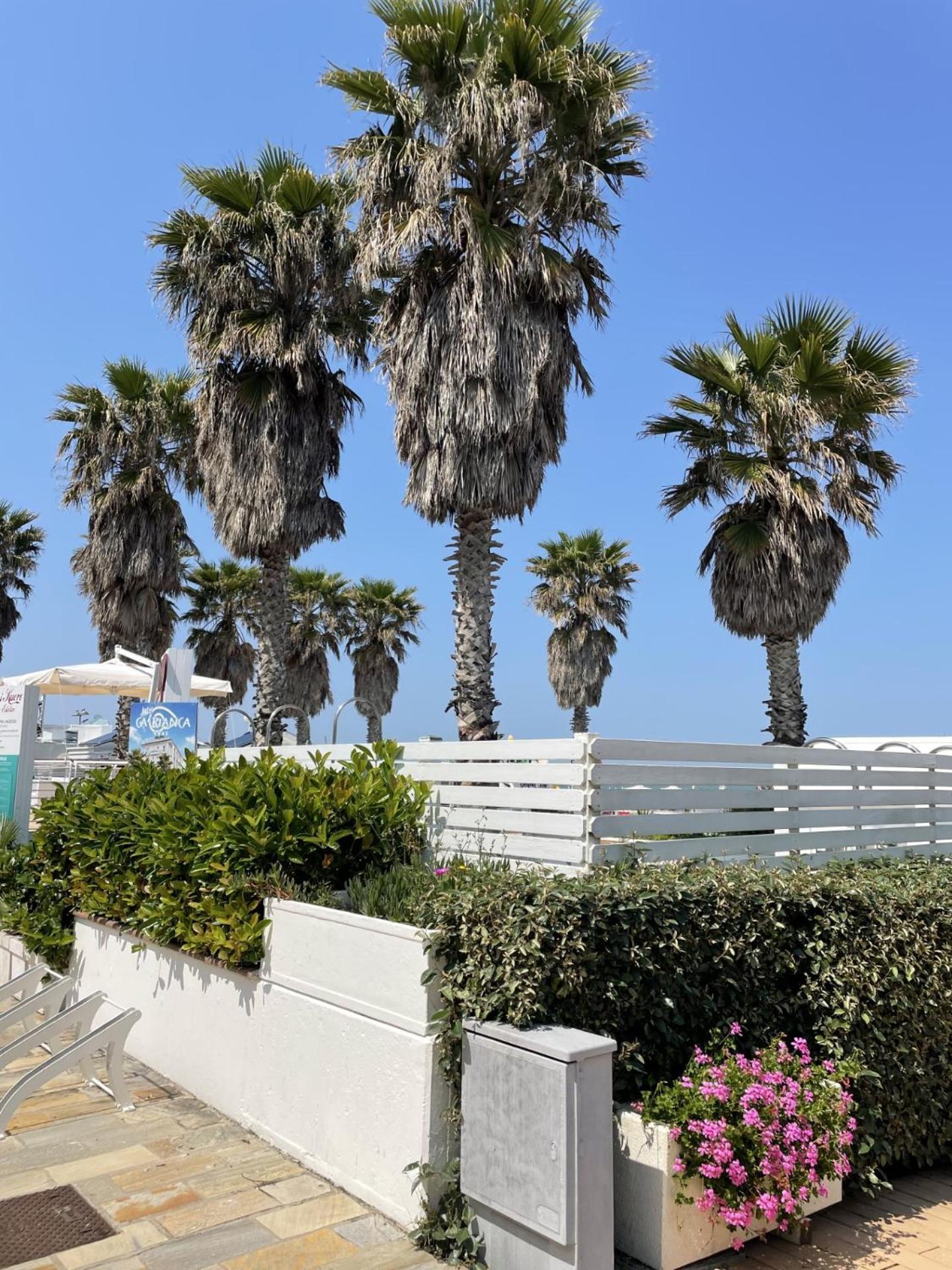 Hotel Napoleon Riccione Exteriör bild